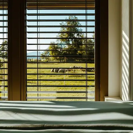 Fortun Estate - Apartmaji Ob Reki Kolpi