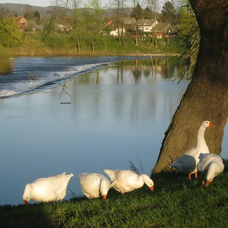 Fortun Estate - Apartmaji Ob Reki Kolpi Farma Metlika