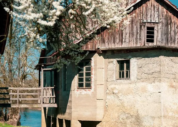 Fortun Estate - Apartmaji Ob Reki Kolpi Farm stay