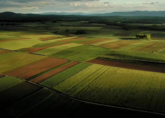 Fortun Estate - Apartmaji Ob Reki Kolpi Metlika