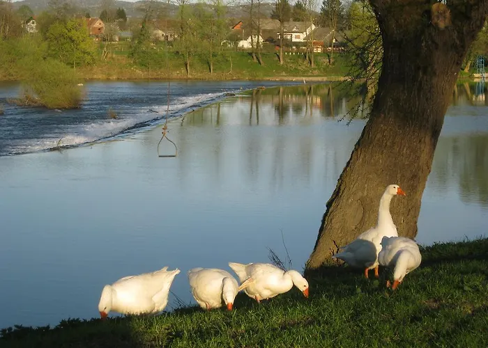 Fortun Estate - Apartmaji Ob Reki Kolpi Κατάλυμα σε φάρμα Metlika