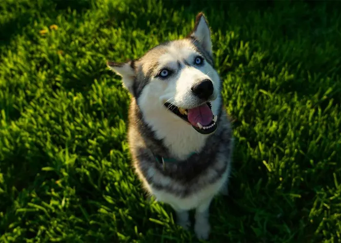 Fortun Estate - Apartmaji Ob Reki Kolpi * Metlika